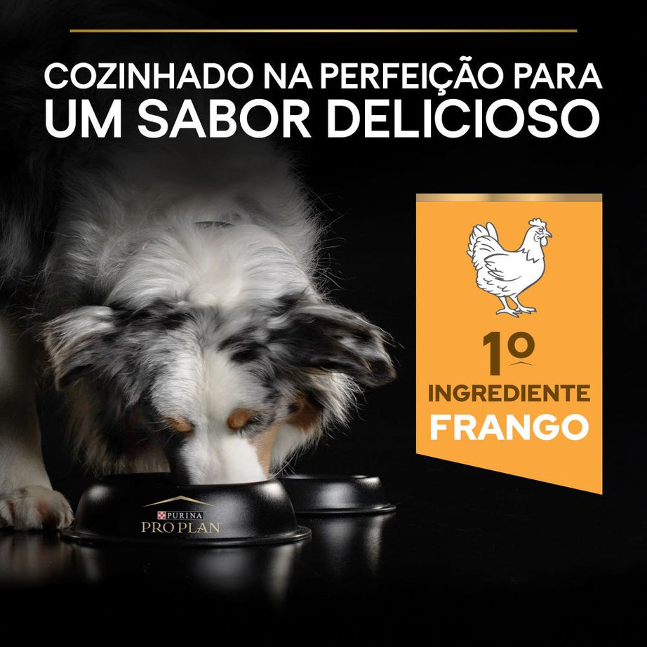 Pro Plan Everyday Nutrition Medium Adult Chicken