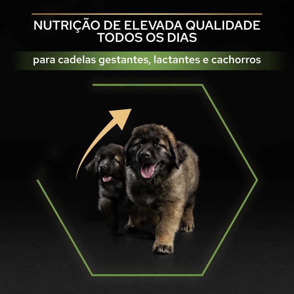 Pro Plan Healthy Start Large Robust Puppy - Ração seca para cachorro grande e robusto- Frango