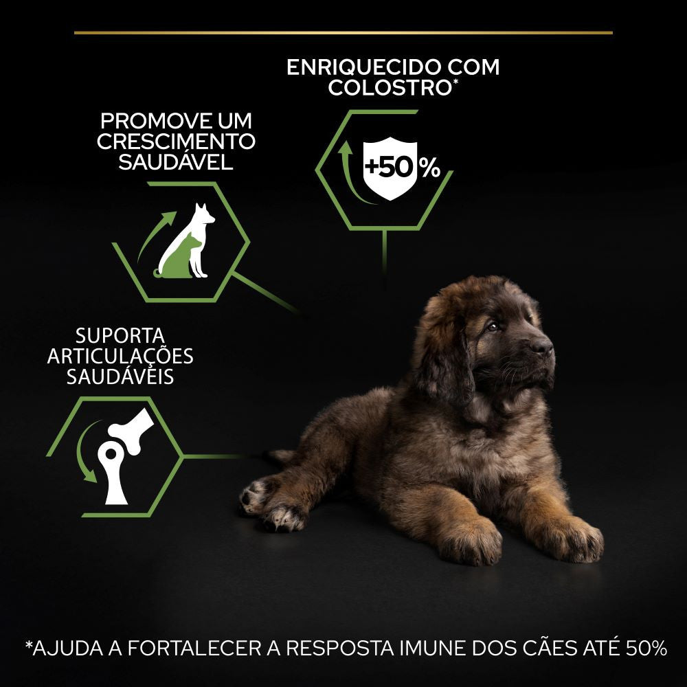 Pro Plan Healthy Start Large Robust Puppy - Ração seca para cachorro grande e robusto- Frango