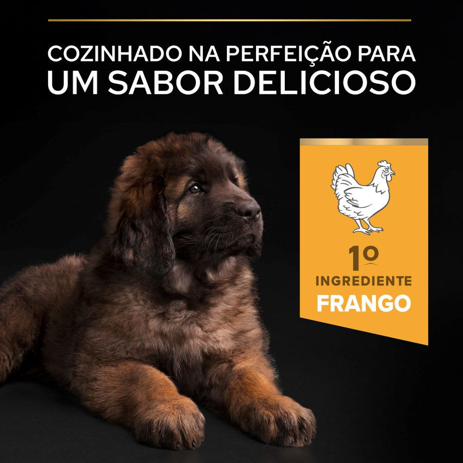 Pro Plan Healthy Start Large Robust Puppy - Ração seca para cachorro grande e robusto- Frango