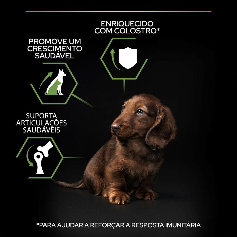 Pro Plan Dog Small & Mini Puppy - Ração seca para cachorro de porte pequeno - Frango