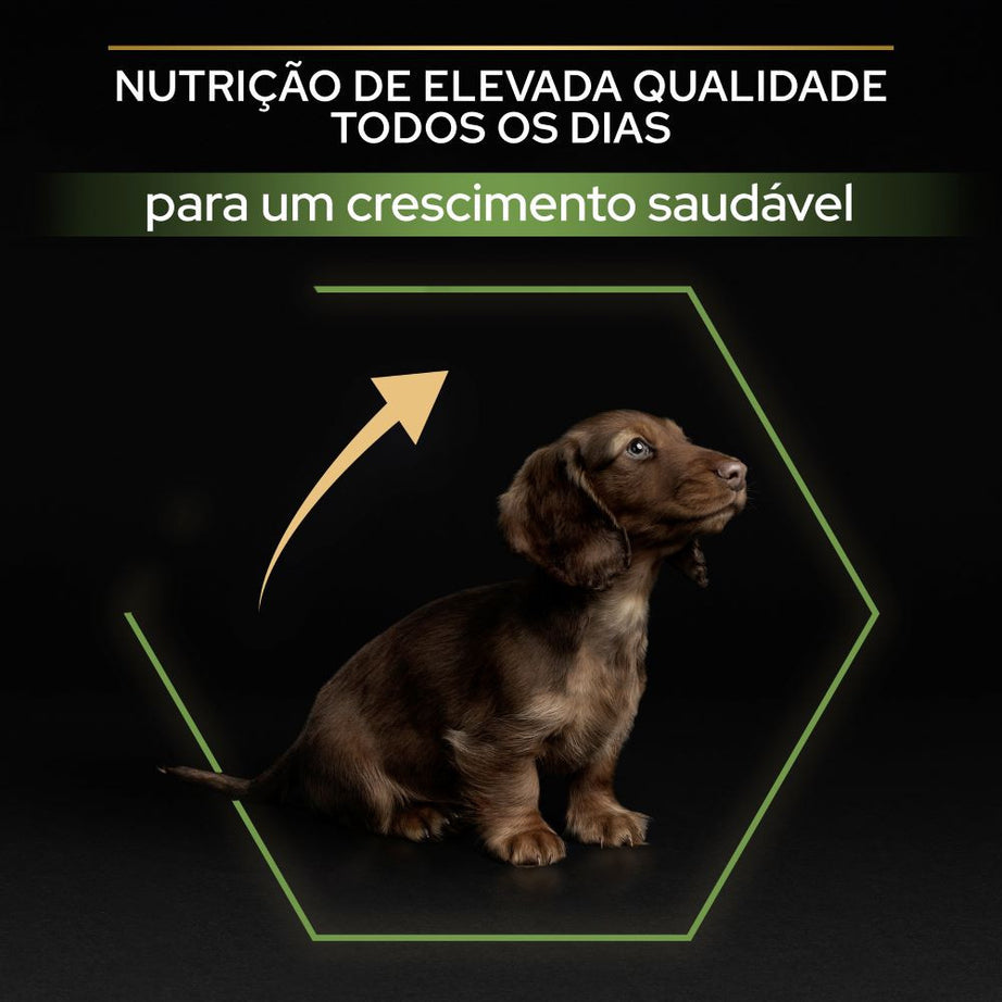 Pro Plan Dog Small & Mini Puppy - Ração seca para cachorro de porte pequeno - Frango