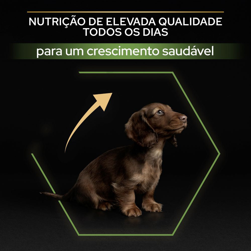 Pro Plan Dog Small & Mini Puppy - Ração seca para cachorro de porte pequeno - Frango