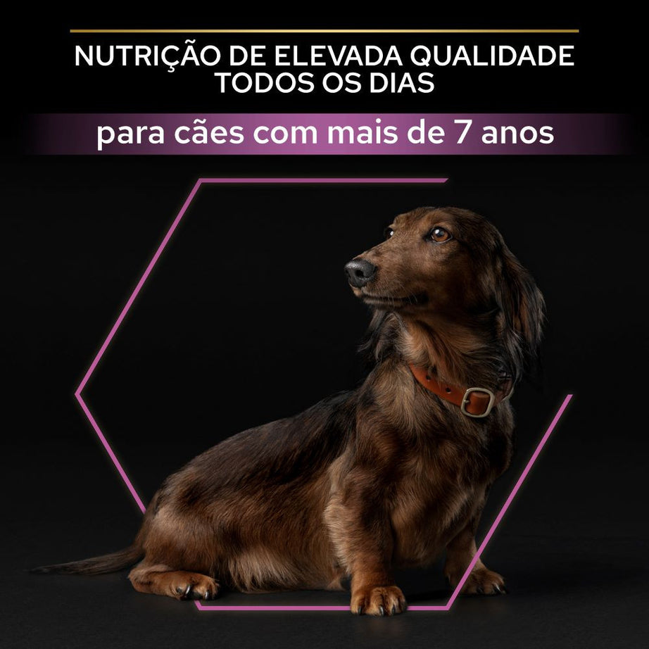 Pro Plan Age Defence Small & Mini 9+ - Ração seca para cão pequeno sénior - Frango
