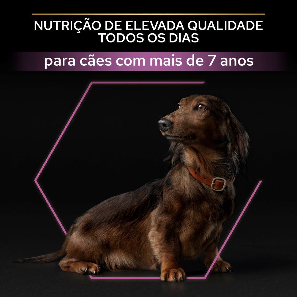 Pro Plan Age Defence Small & Mini 9+ - Ração seca para cão pequeno sénior - Frango