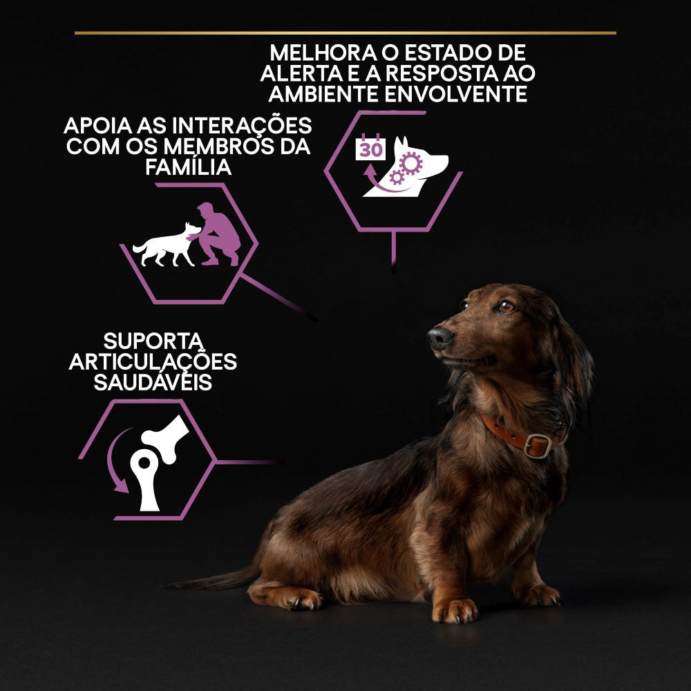 Pro Plan Age Defence Small & Mini 9+ - Ração seca para cão pequeno sénior - Frango