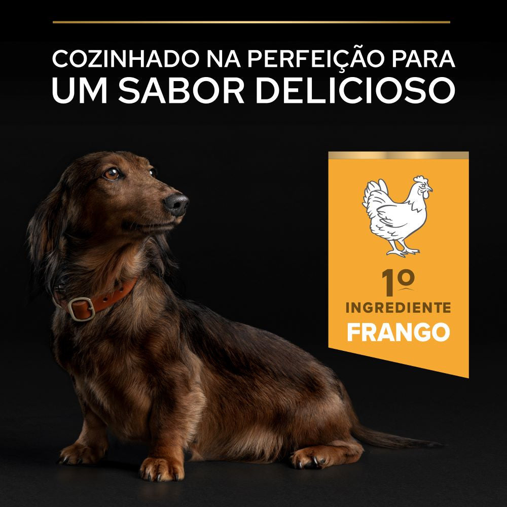 Pro Plan Age Defence Small & Mini 9+ - Ração seca para cão pequeno sénior - Frango