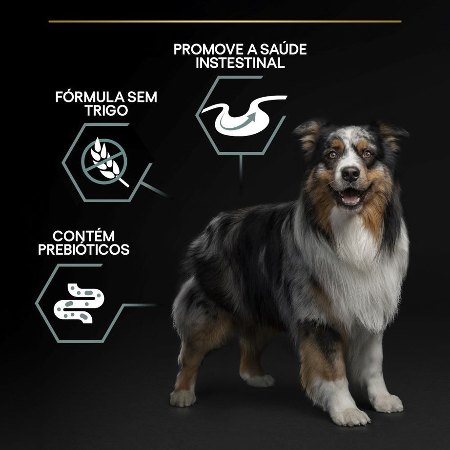 Pro Plan Sensitive Digestion Grain Free Medium & Large - Ração seca para cão adulto médio e grande - Perú