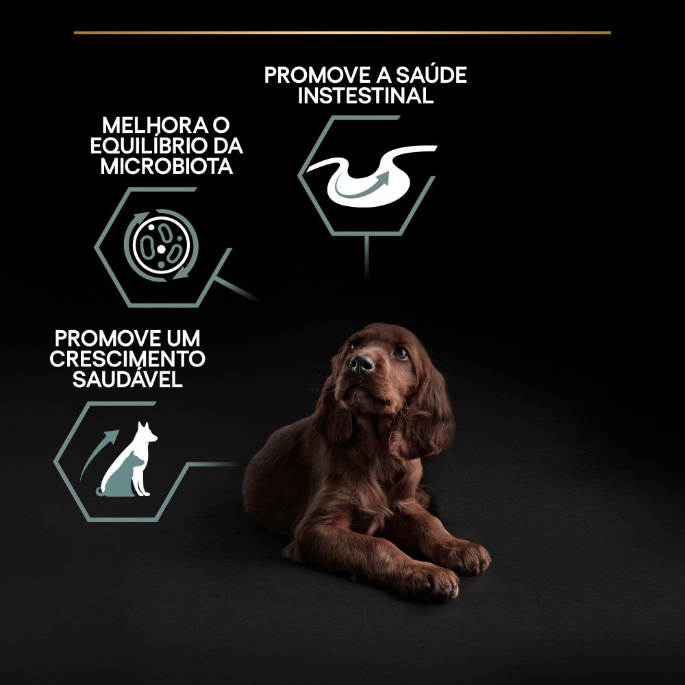 Pro Plan Sensitive Digestion Large Athletic Puppy - Ração seca para cachorro grande e atlético com sensibilidade digestiva - Borrego 12 Kg