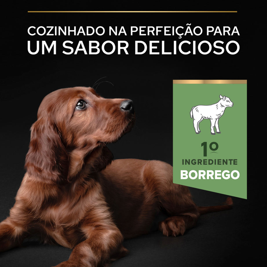 Pro Plan Sensitive Digestion Large Athletic Puppy - Ração seca para cachorro grande e atlético com sensibilidade digestiva - Borrego 12 Kg