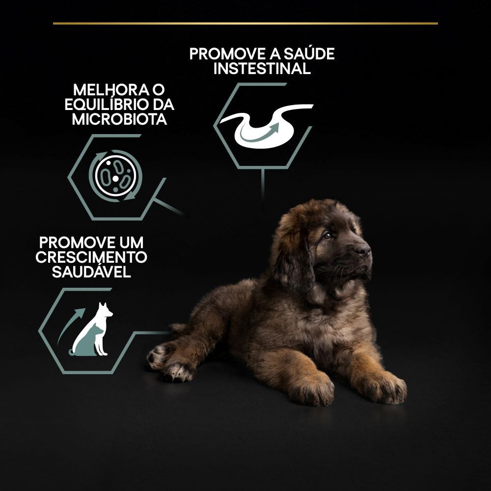 Pro Plan Dog Large Robust Puppy Sensitive Digestion Lamb | 12 kg