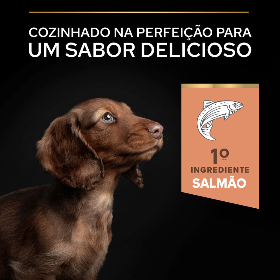 Pro Plan Dog Small & Mini Puppy Sensitive Skin | 3 Kg - Ração seca para cachorro de porte pequeno com pele sensível - Salmão