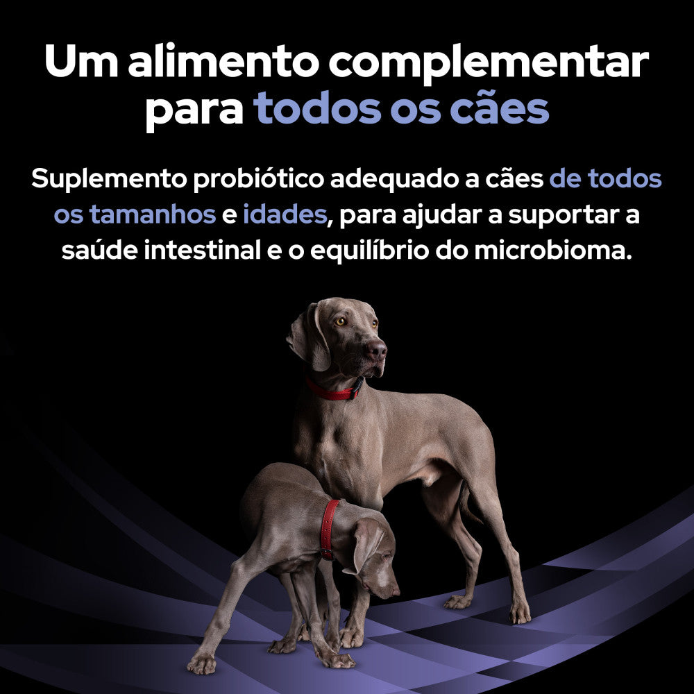 Pro Plan Dog Fortiflora | 30 saquetas de 1 g - Suplemento probiótico para cães