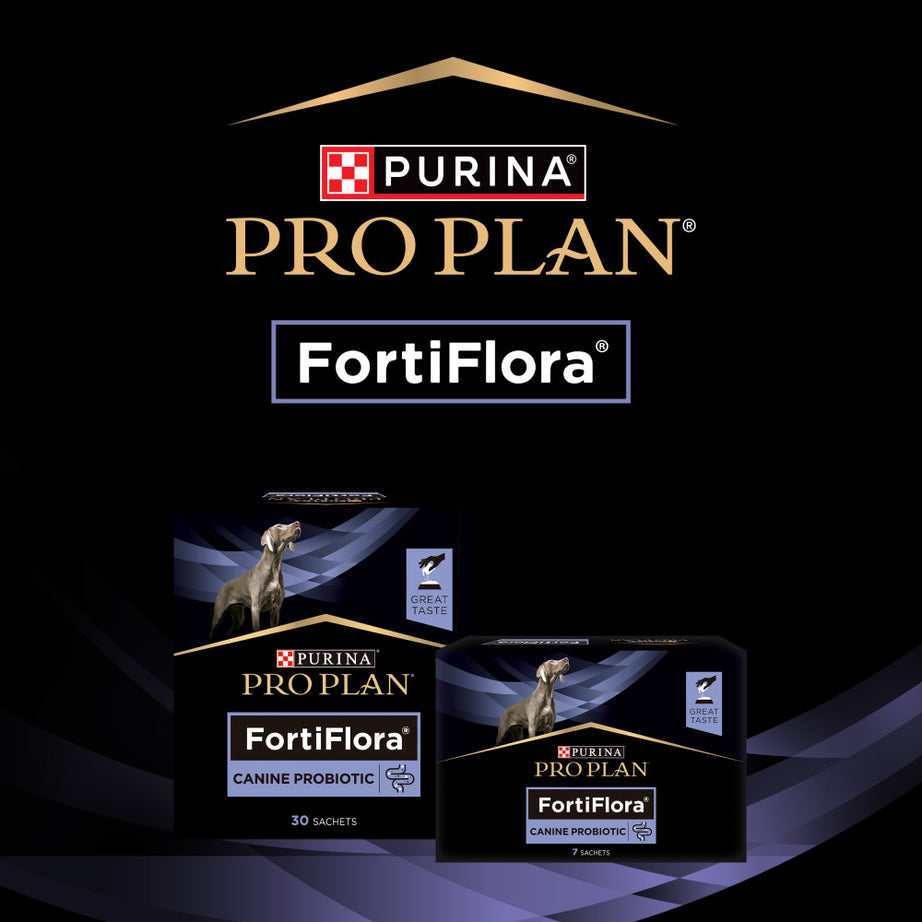 Pro Plan Dog Fortiflora | 30 saquetas de 1 g - Suplemento probiótico para cães