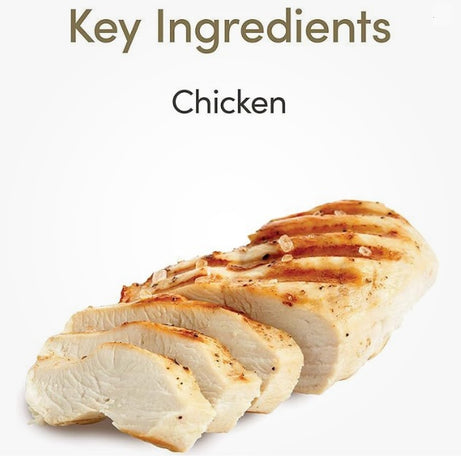 Applaws - Purée de Frango para Gatos Grain Free – 8 x 7g