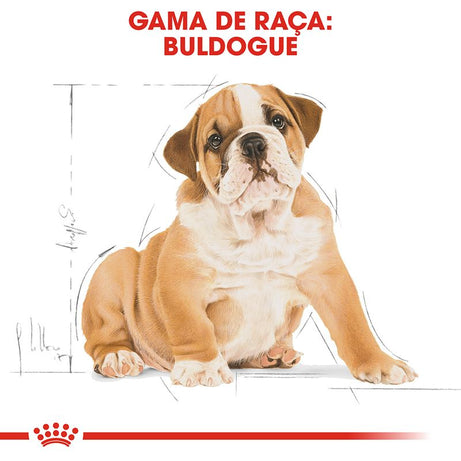 Royal Canin Bulldog Puppy | 12 Kg - Ração seca para cachorro da raça Bulldog