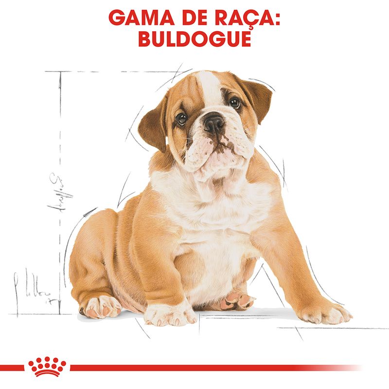 Royal Canin Bulldog Puppy | 12 Kg - Ração seca para cachorro da raça Bulldog