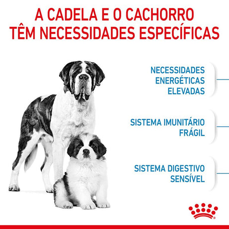 Royal Canin Dog Giant Starter Mother & Babydog | 15 Kg - Ração seca para cachorro recém-nascido e cadela gestante/lactante de porte gigante
