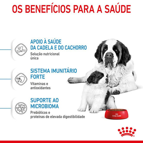 Royal Canin Dog Giant Starter Mother & Babydog | 15 Kg - Ração seca para cachorro recém-nascido e cadela gestante/lactante de porte gigante