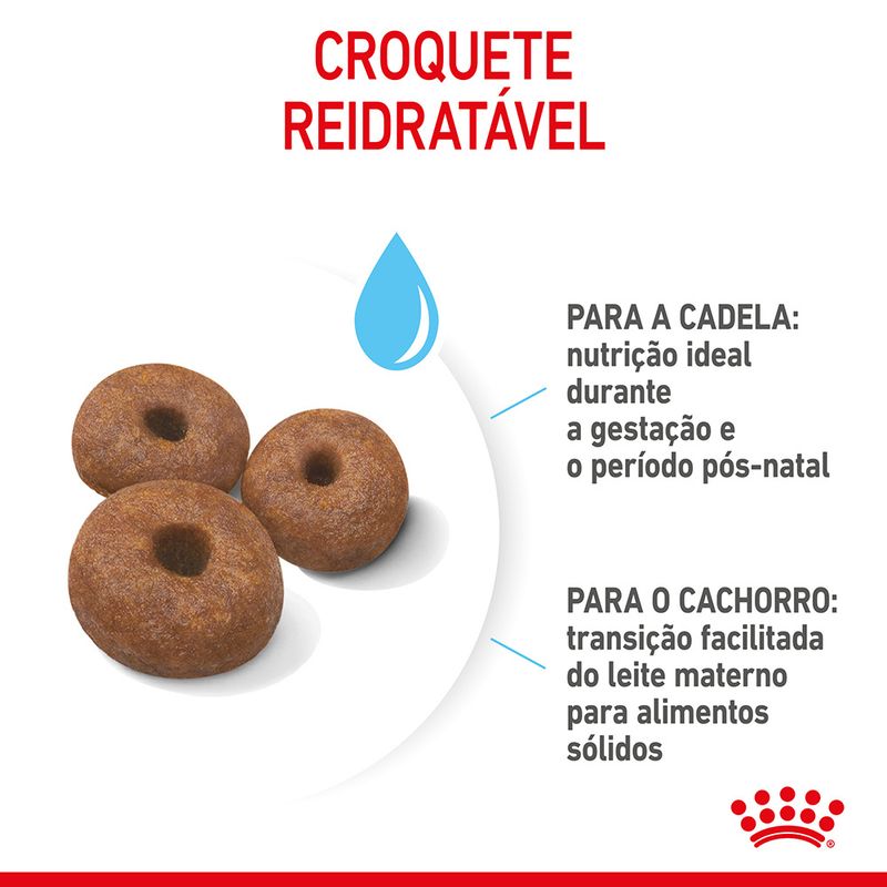 Royal Canin Dog Giant Starter Mother & Babydog | 15 Kg - Ração seca para cachorro recém-nascido e cadela gestante/lactante de porte gigante