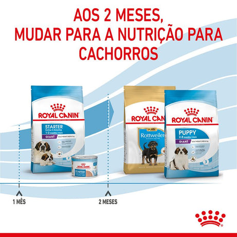 Royal Canin Dog Giant Starter Mother & Babydog | 15 Kg - Ração seca para cachorro recém-nascido e cadela gestante/lactante de porte gigante