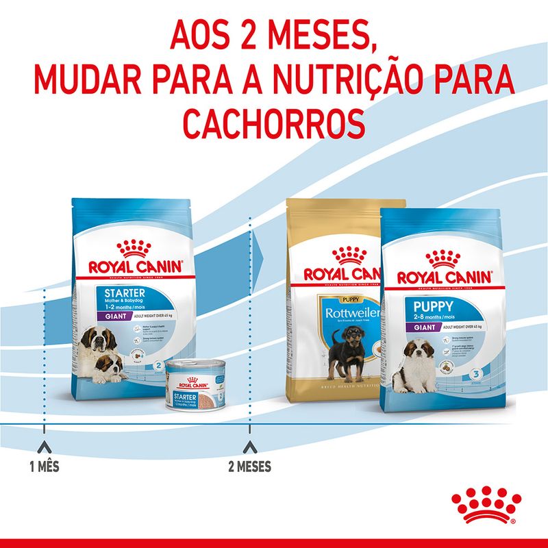 Royal Canin Dog Giant Starter Mother & Babydog | 15 Kg - Ração seca para cachorro recém-nascido e cadela gestante/lactante de porte gigante