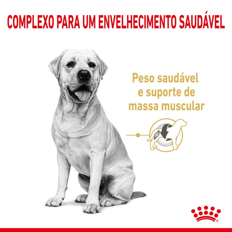 Royal Canin Dog Labrador Ageing 5+ | 12 kg