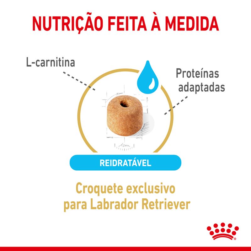 Royal Canin Dog Labrador Ageing 5+ | 12 kg