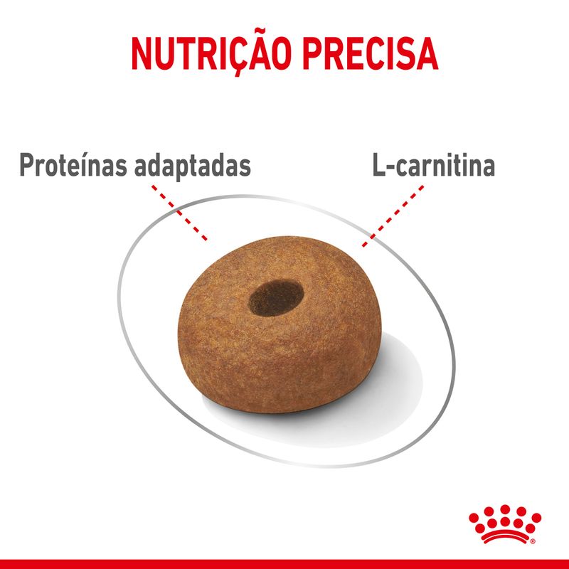 Royal Canin Dog Maxi Light Weight Care - Ração seca para cão adulto de porte grande para controlo de peso