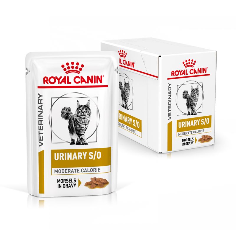 Royal Canin Vet Urinary S/O Moderate Calorie Feline | Wet (Pouch) | 12 x 85 g
