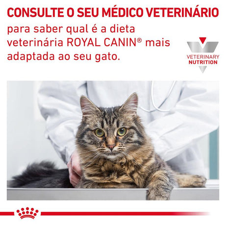 Royal Canin Vet Urinary S/O Moderate Calorie Feline | Wet (Pouch) | 12 x 85 g