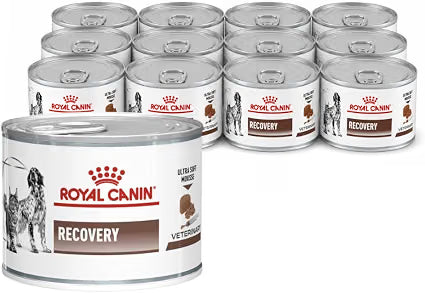 Royal Canin® Veterinary Recovery – Alimento húmido para Cães e Gatos