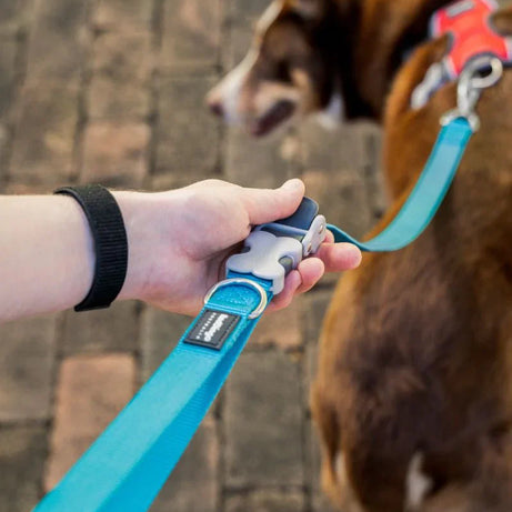 Red Dingo Superlead Adjustable Leash