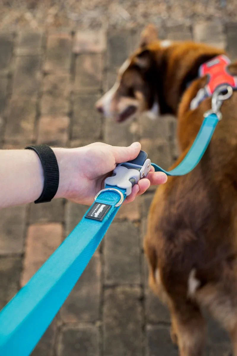 Red Dingo Superlead Adjustable Leash