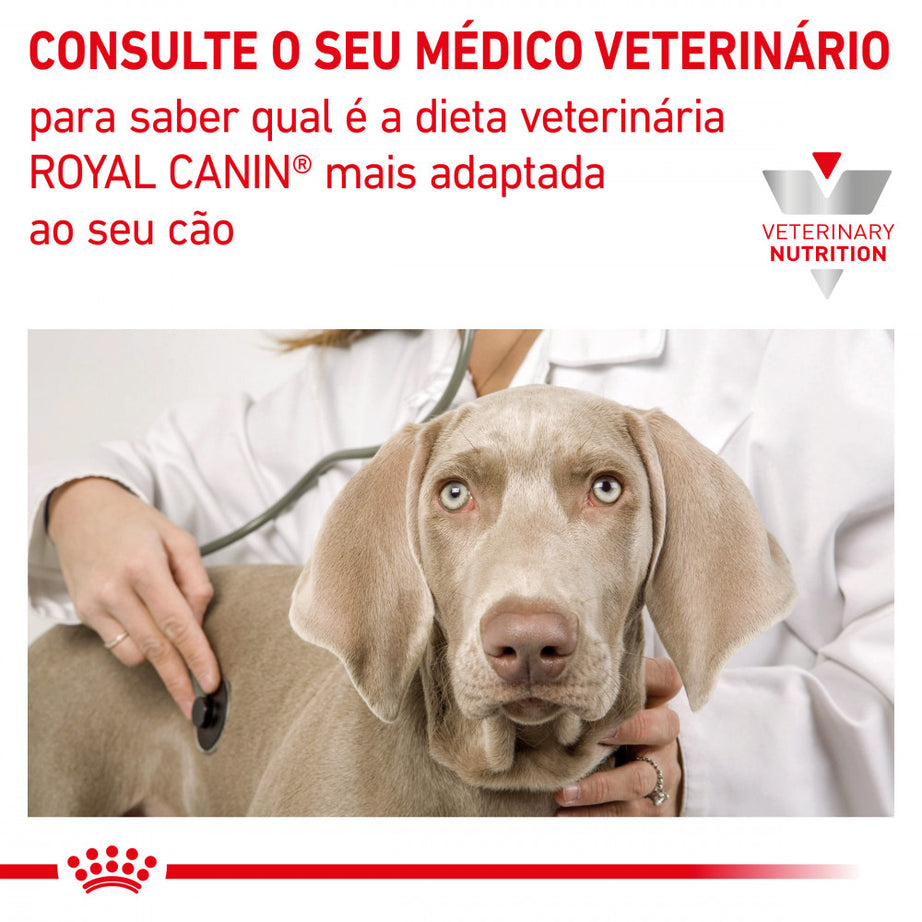 Royal Canin® Veterinary Sensitivity Control Pato e Arroz – Alimento Húmido para Cães Adultos