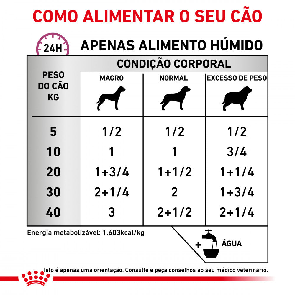 Royal Canin® Veterinary Renal Special – Alimento Húmido para Cão Adulto