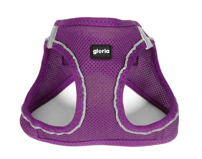 Peitoral GLORIA Trek Star para cão | Roxo