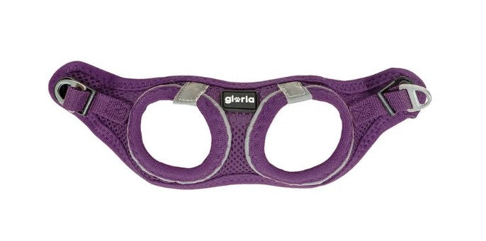 Peitoral GLORIA Trek Star para cão | Roxo