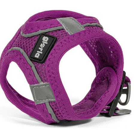 Peitoral GLORIA Trek Star para cão | Roxo