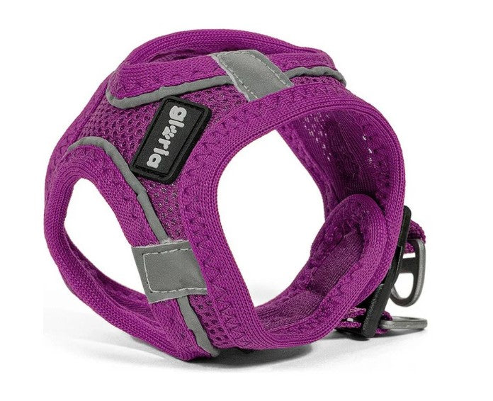 Peitoral GLORIA Trek Star para cão | Roxo