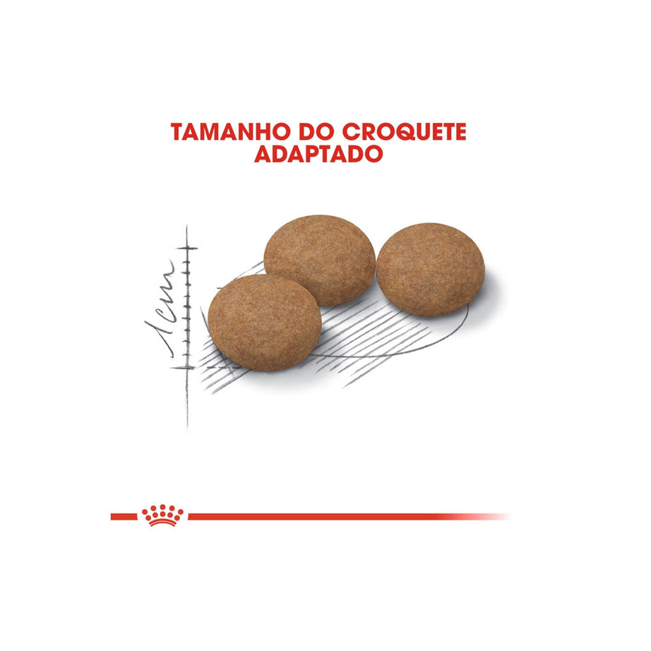 Royal Canin Cat Ageing Sterilised 12 +