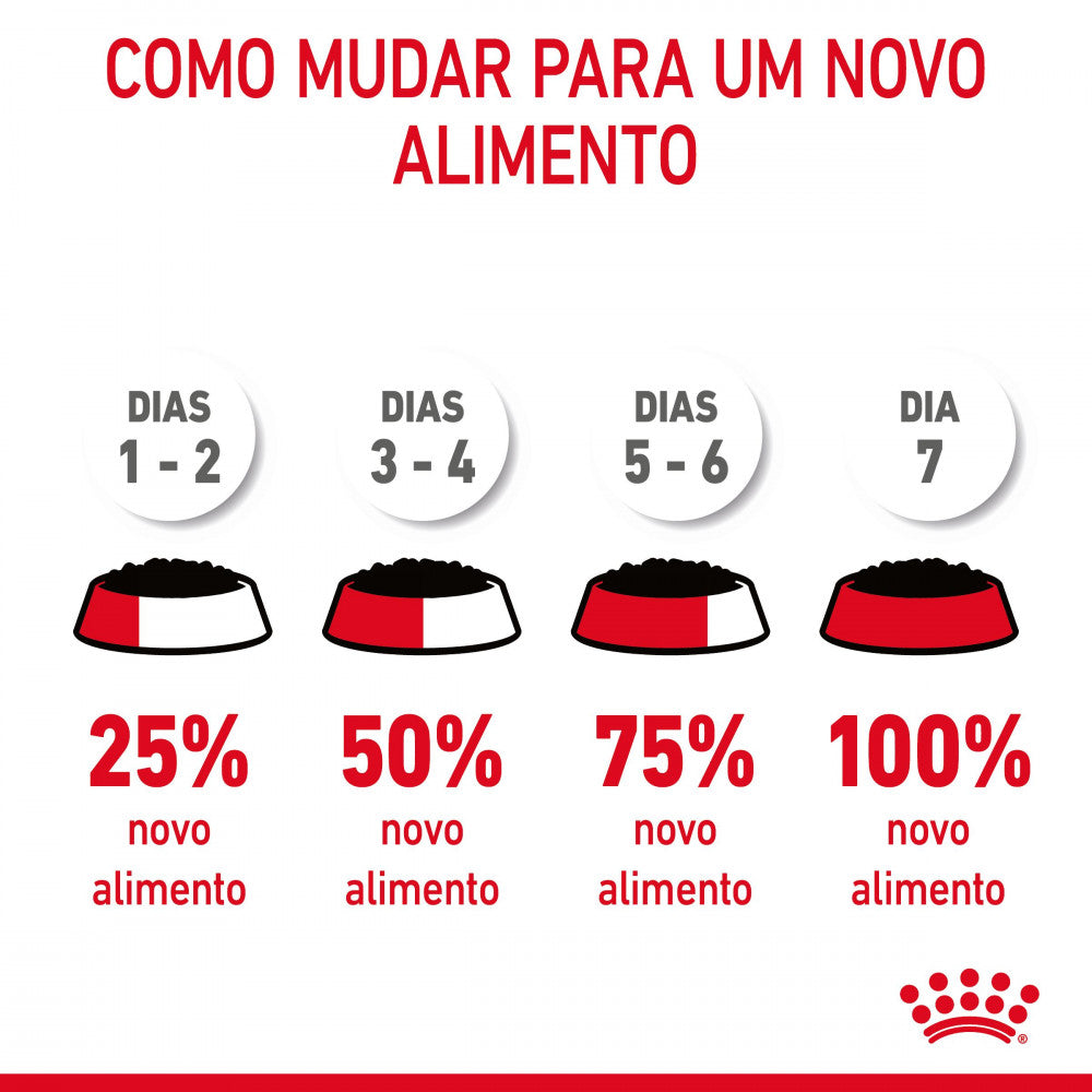 Royal Canin Cat Appetite Control Sterilised in Jelly | Wet (Pouch) | 12 x 85 g