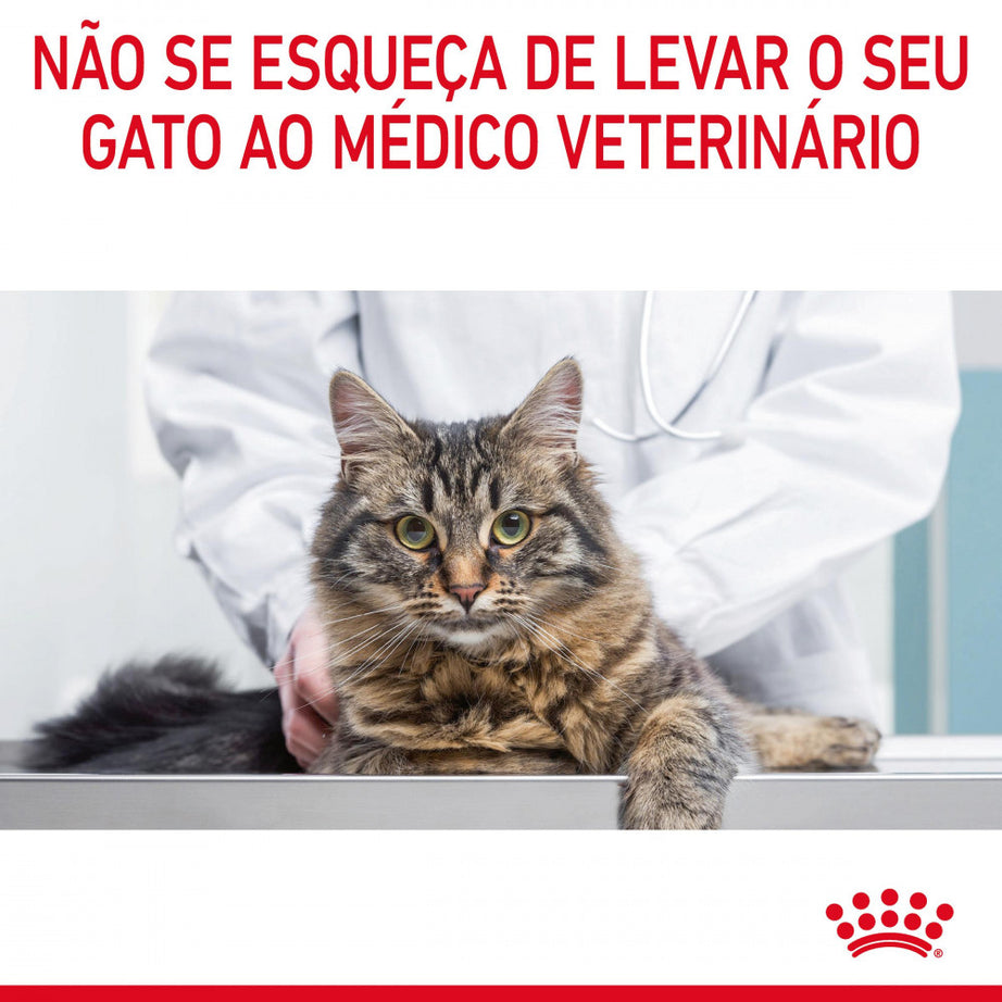 Royal Canin Cat Appetite Control Sterilised in Gravy | Wet (Pouch) | 12 x 85 g