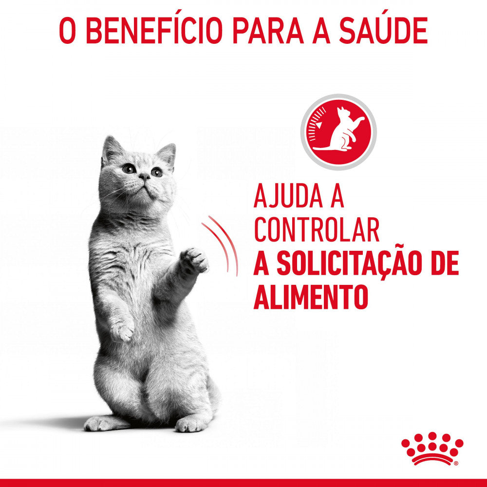 Royal Canin Cat Appetite Control Sterilised in Gravy | Wet (Pouch) | 12 x 85 g