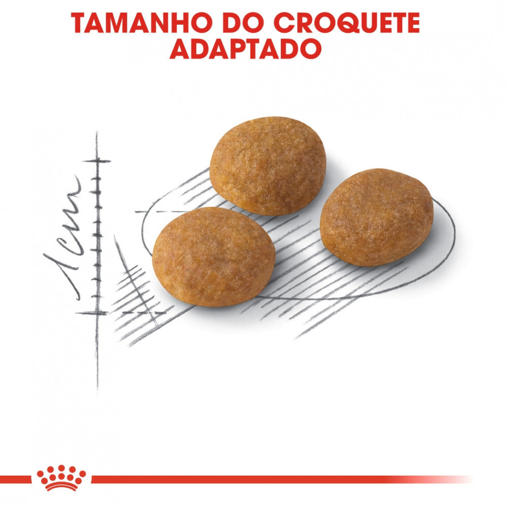 Royal Canin Cat Exigent Aroma