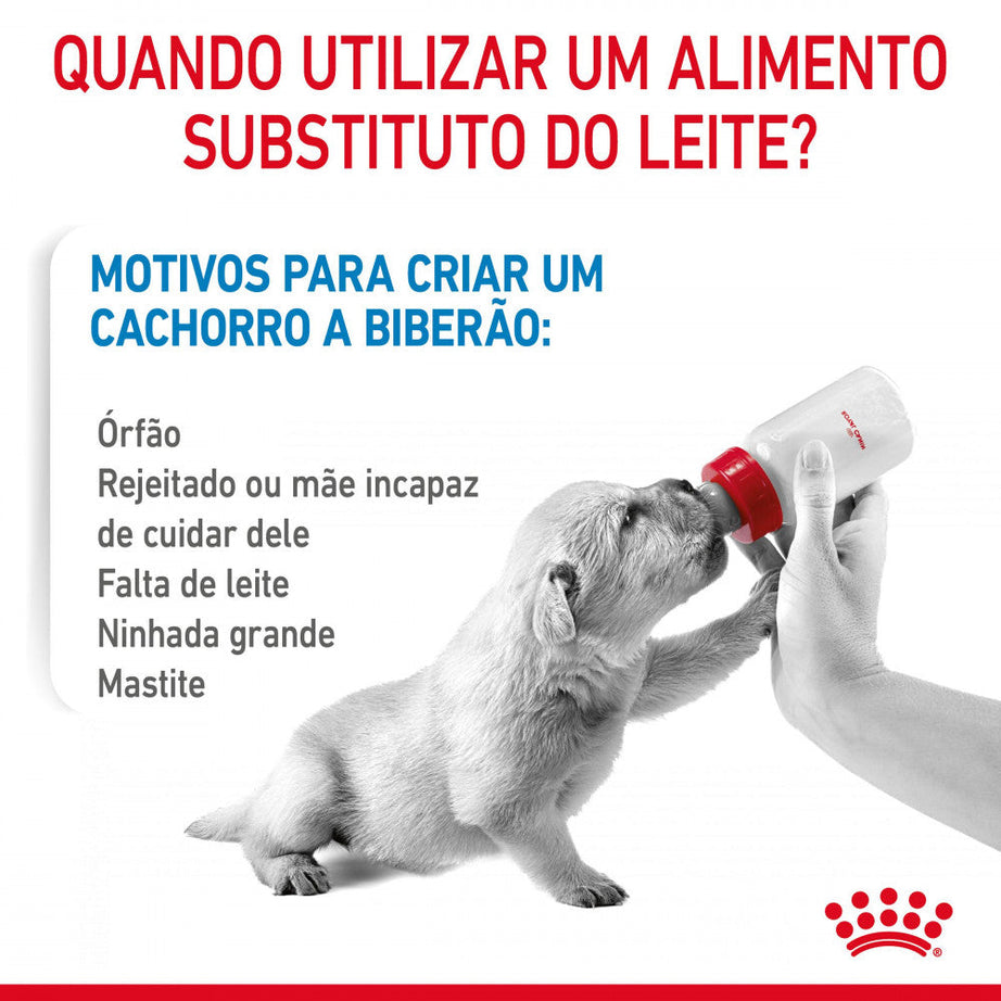Royal Canin Babydog Milk - Puppy milk