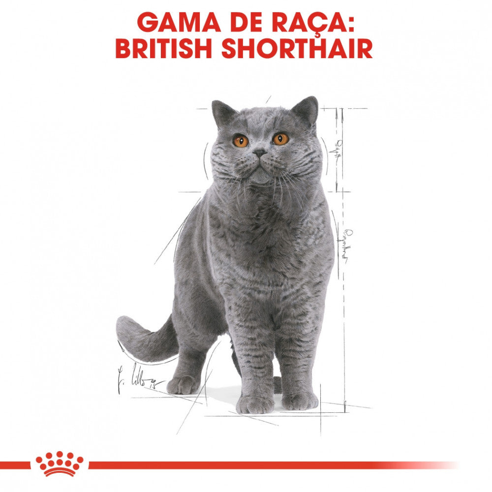 Royal Canin Cat British Shorthair Adult | Wet (Pouch) | 12 x 85 g