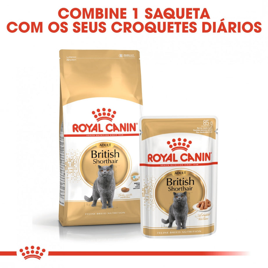 Royal Canin Cat British Shorthair Adult | Wet (Pouch) | 12 x 85 g