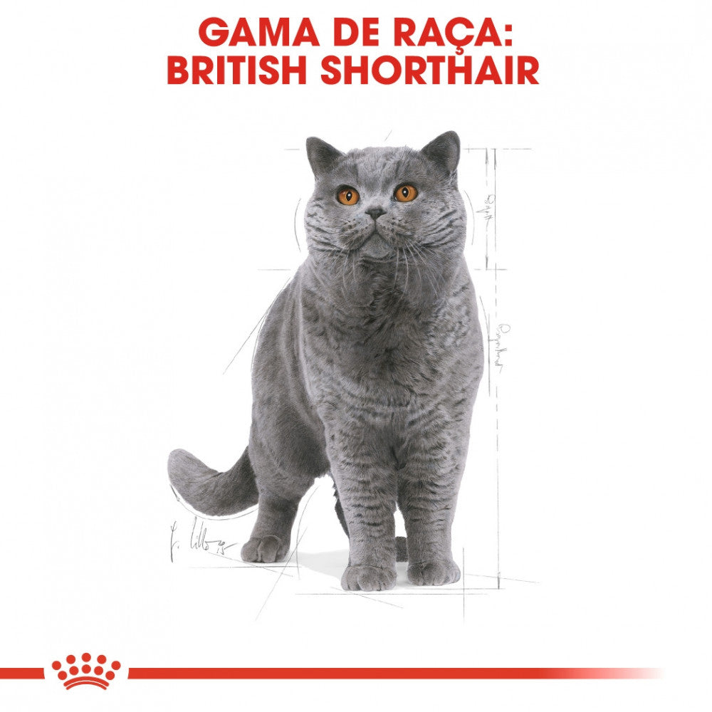 Royal Canin Cat British Shorthair Adult | 2 kg