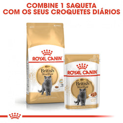 Royal Canin Cat British Shorthair Adult | 2 kg